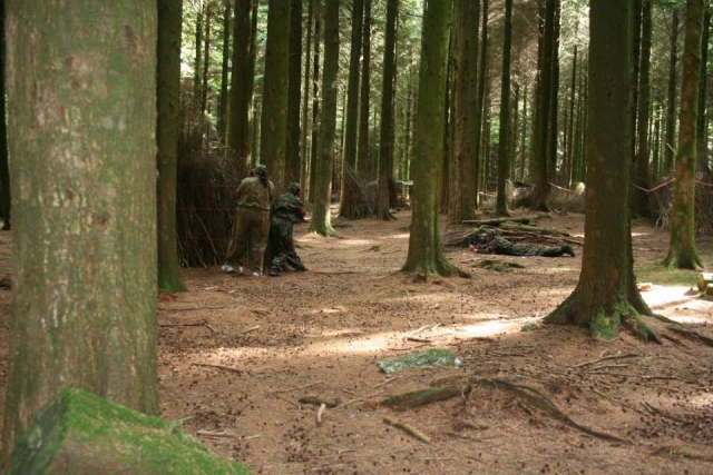  Nuestro sitio en el bosque 